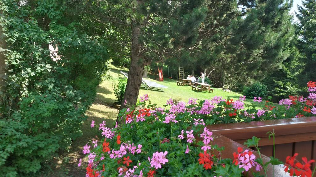 Hotel Trentino Folgaria Ngoại thất bức ảnh